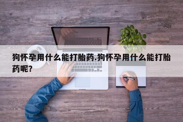 堕胎药联系微信狗怀孕用什么能打胎药.狗怀孕用什么能打胎药呢？