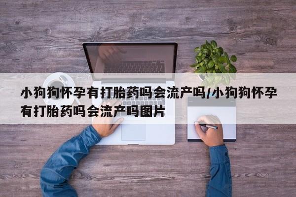 堕胎药联系微信小狗狗怀孕有打胎药吗会流产吗/小狗狗怀孕有打胎药吗会流产吗图片