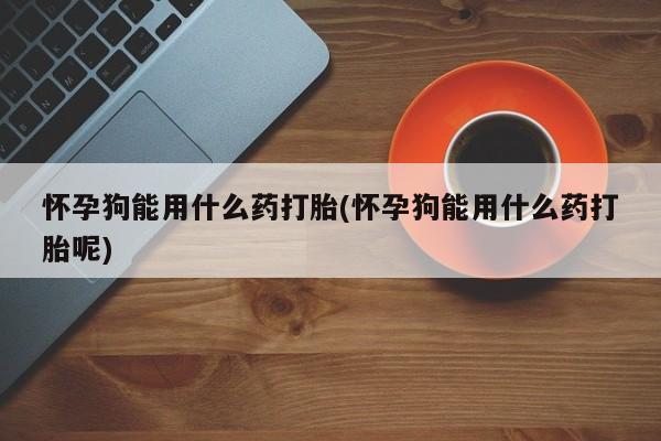 堕胎药联系微信怀孕狗能用什么药打胎(怀孕狗能用什么药打胎呢)